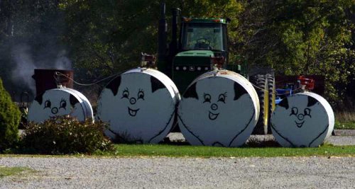  Fuel Tank Art #1: Pigs on Parade
