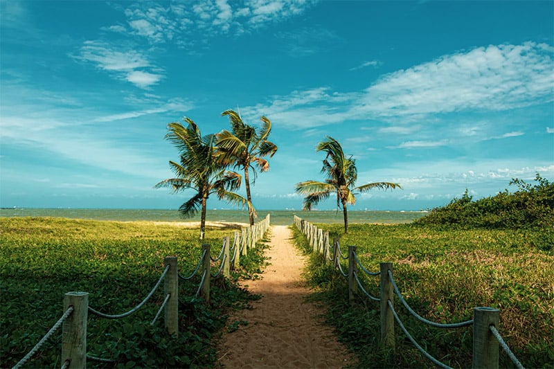 Free for commercial use ✓ no. Beautiful Free Summer Wallpaper Desktop Backgrounds Vandelay Design