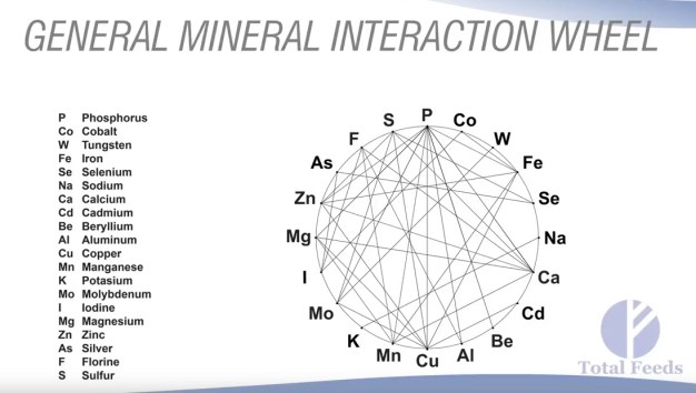 General Mineral Interaction Wheel. Courtesy of Dr. Harry Anderson, Total Feeds, Inc.
