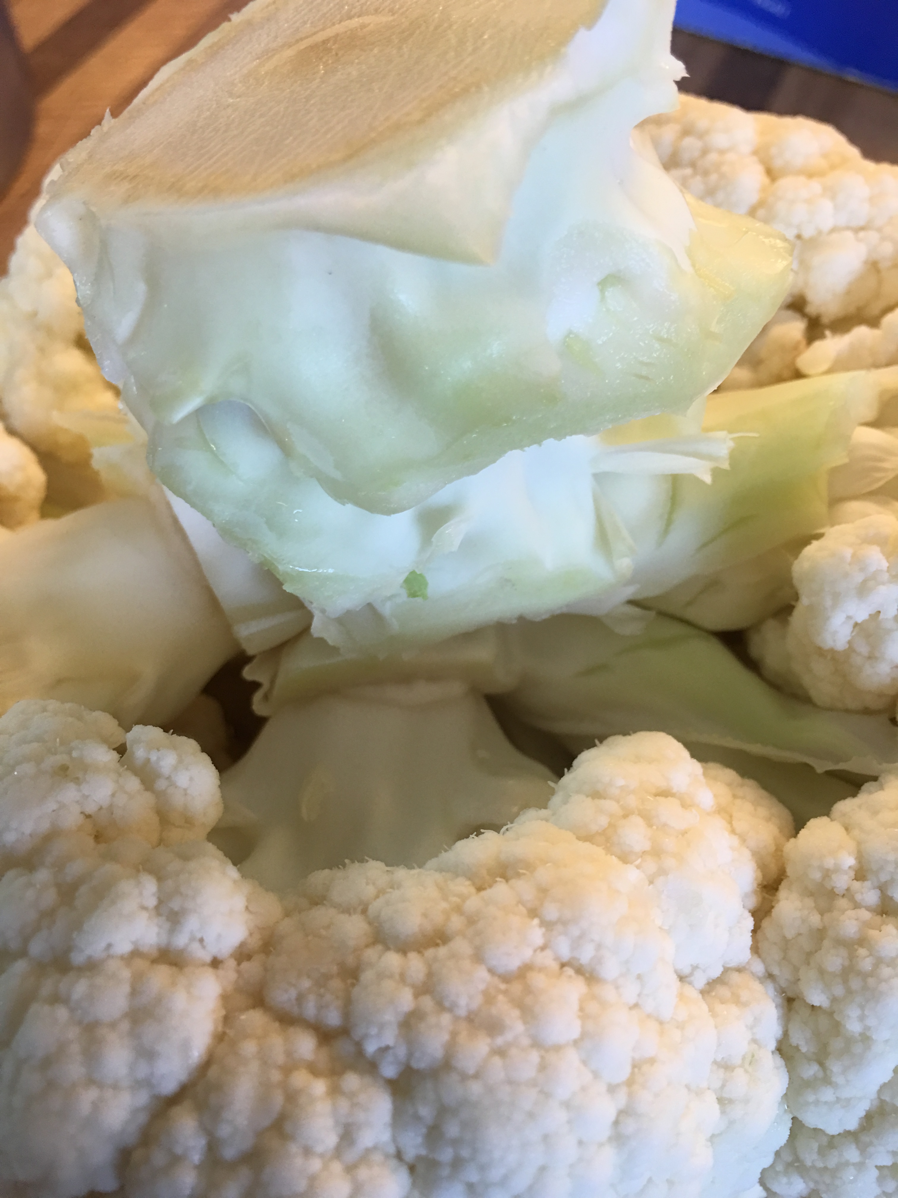 Vegan Style Deep Fried Drumsticks Vegan on the GO!