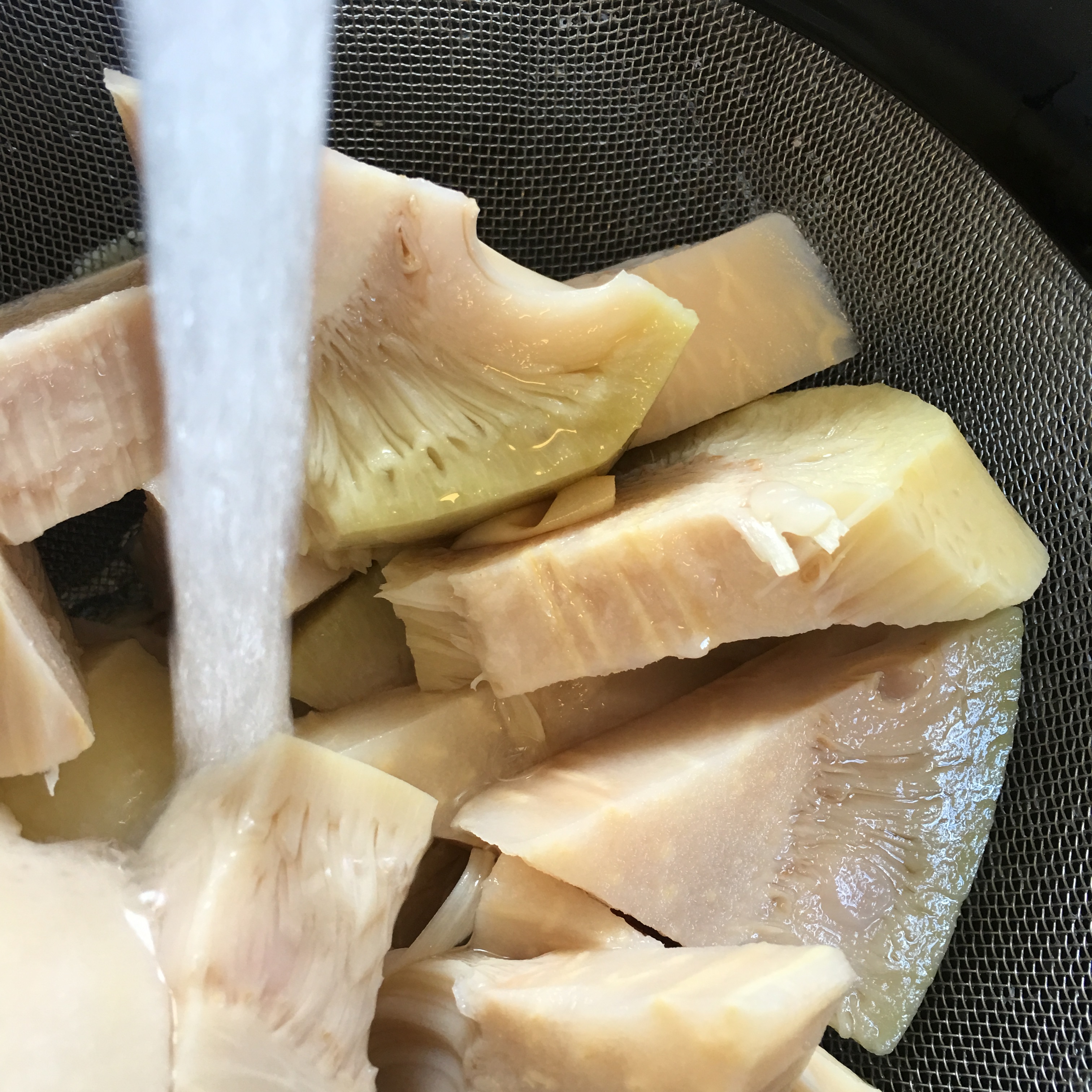 Vegan Style Deep Fried Drumsticks Vegan on the GO!