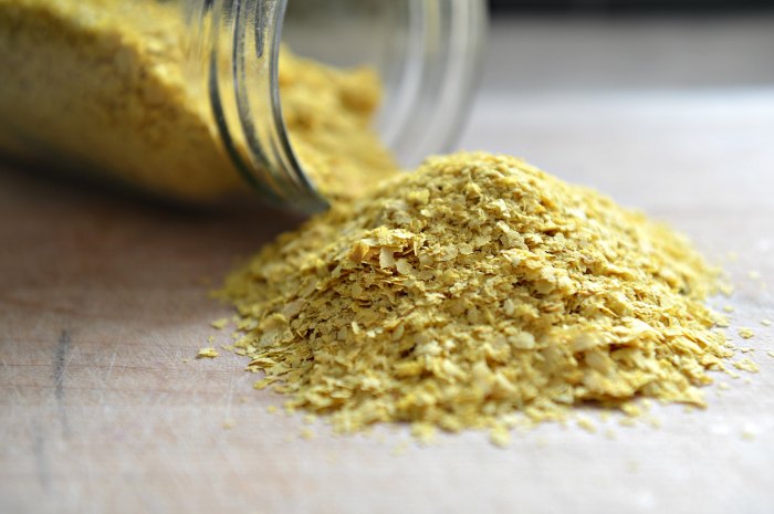 Is nutritional yeast the same as instant yeast