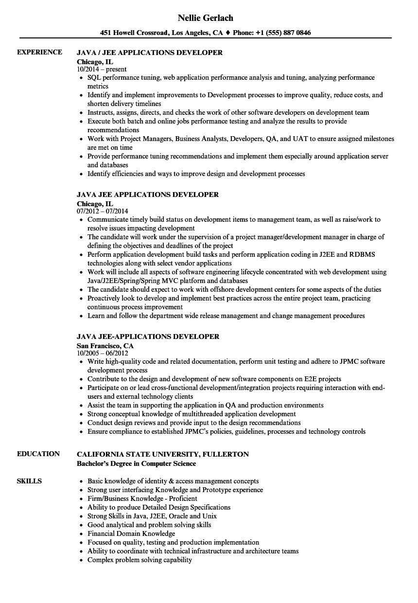 Led development of $500k research project which was deemed a gold standard by the client. Java / JEE Applications Developer Resume Samples | Velvet Jobs