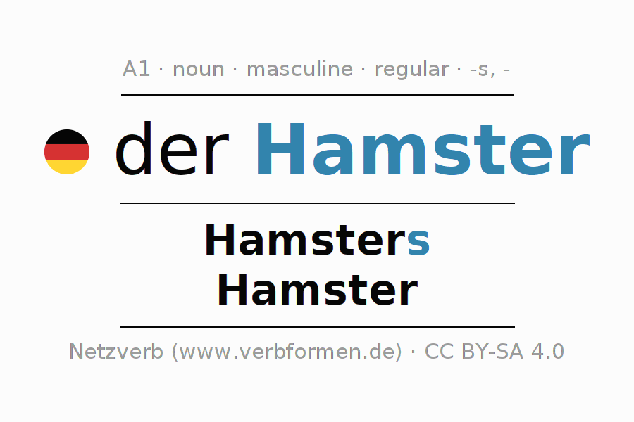 European Hamster Wild Kratts Wiki Fandom