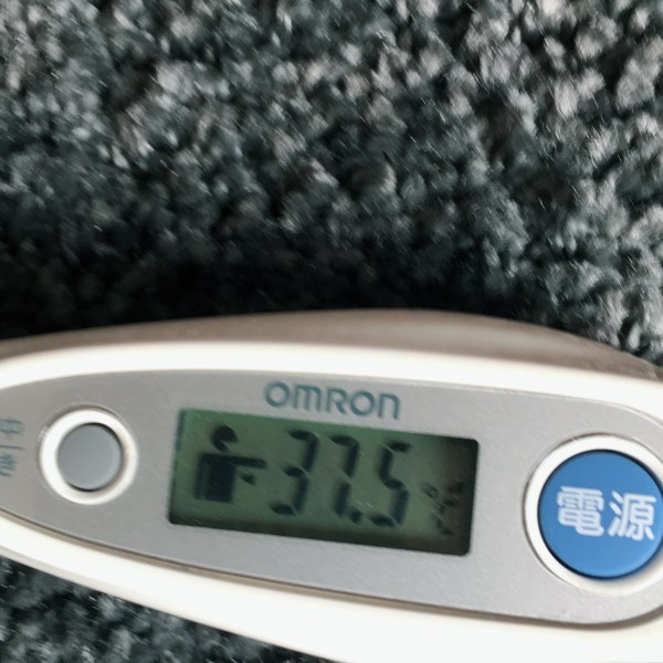 image1_2.jpeg