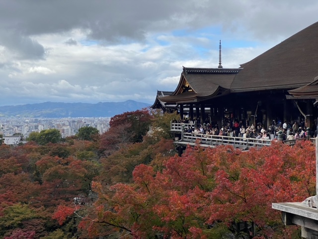 秋の紅葉シーズン真っ只中!