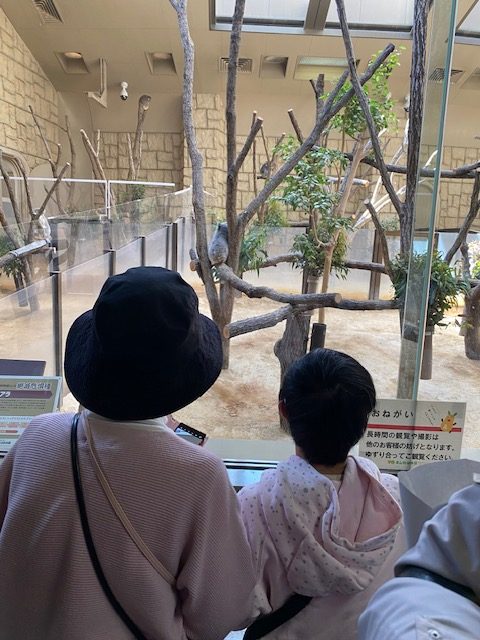 東山動物園に行ってきた
