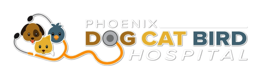 Phoenix dog & cat hospital