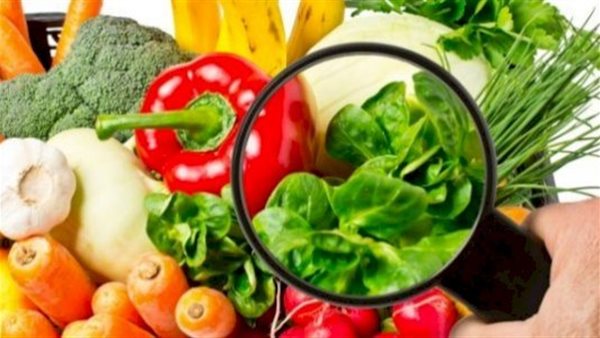 سلامة الغذاء تحدد رسوم مواقع تخزين القمح