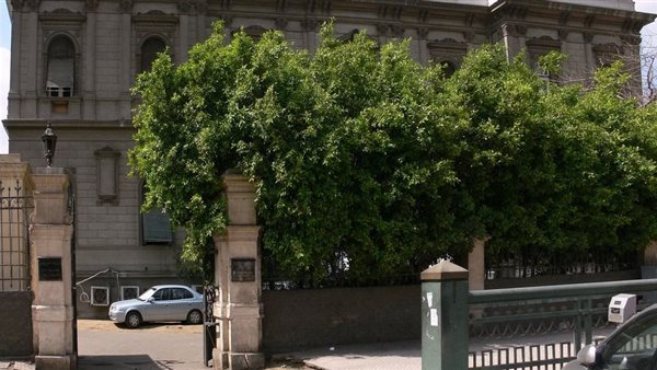 المصرية للإحصاء والتشريع تنظم ندوة عن الاقتصاد المصري ومواجهة التحديات