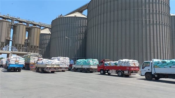 وزير الزراعة: استلام 2 مليون و150 ألف طن قمح حتى الآن 