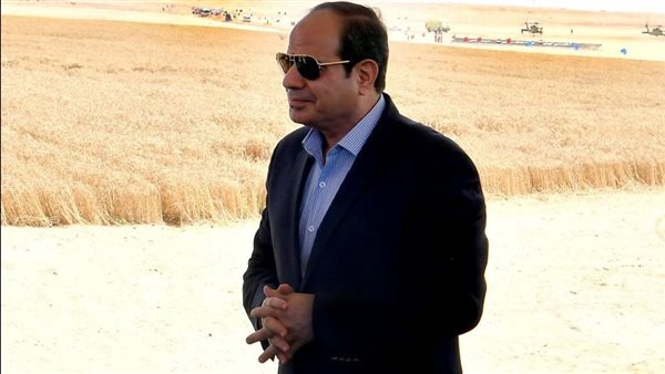  كل ما تريد معرفته عن استراتيجية ومحاور تحقيق الأمن الغذائي