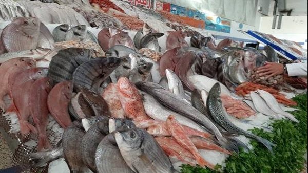 أسعار الاسمنت اليوم 26-5-2022 في القليوبية أسعار الاسمنت اليوم 26-5-2022 في القليوبية