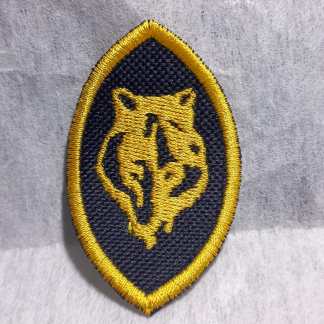Promesa Lobato Boy Scouts de Chile