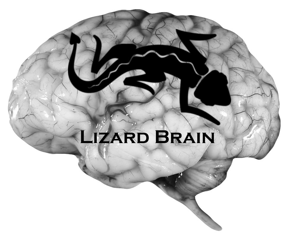 Mr. Lizard Brain Animity Positivity, Possibility, Purpose