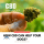 How Does CBD Help Dogs? Are There Studies to Prove It’s Helpful?