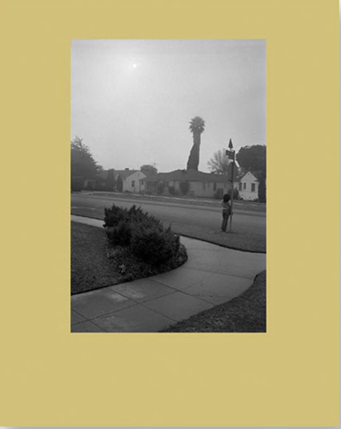 Nz Library 3 Mark Steinmetz Angel City West Volume Two Limited Edition Nz Library Set Three Signed By Mark Steinmetz On Vincent Borrelli