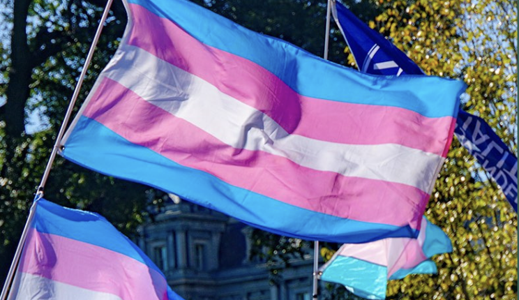 A State of Dysphoria