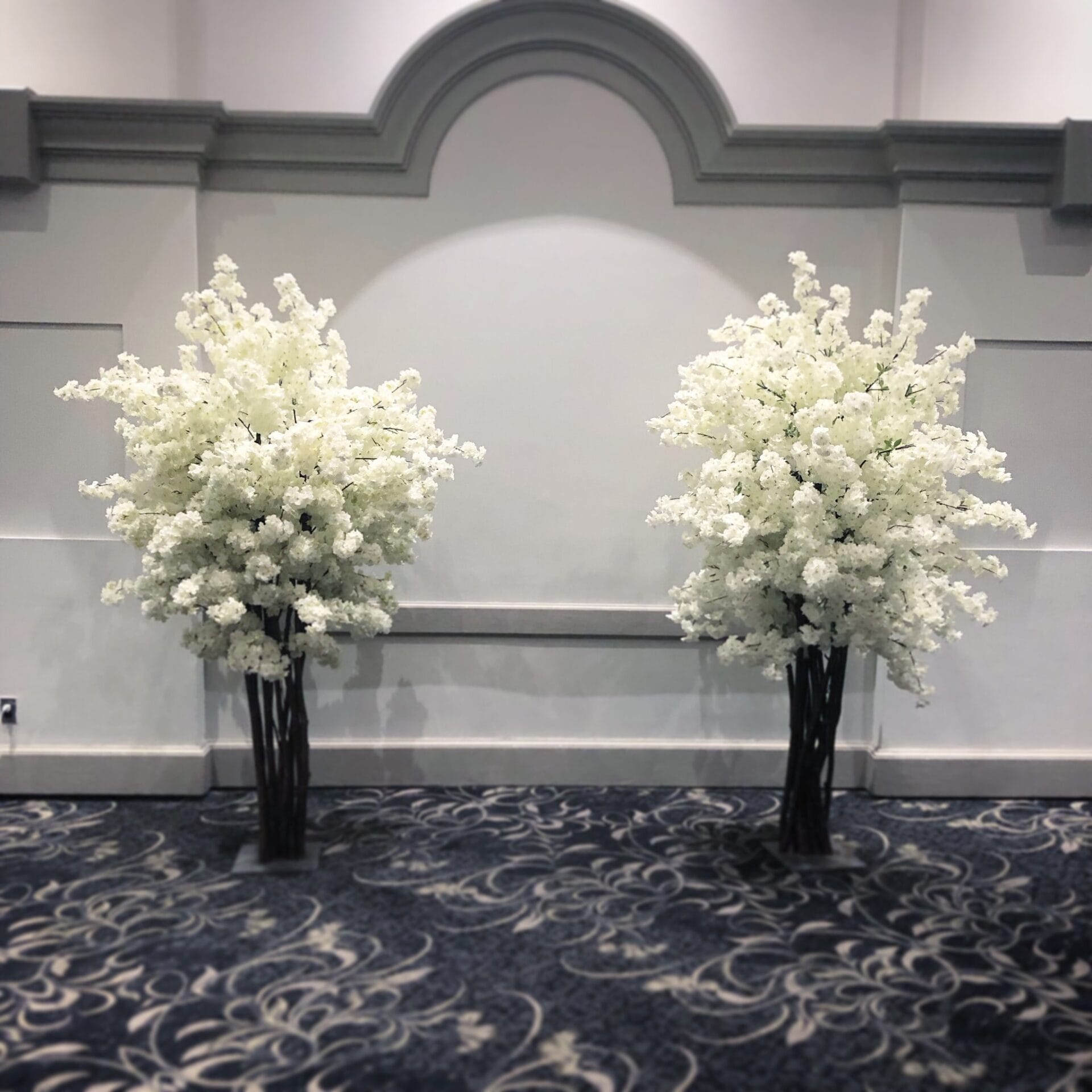 Cherry Blossom Tree Ocean County Park Photograph By Angie Tirado