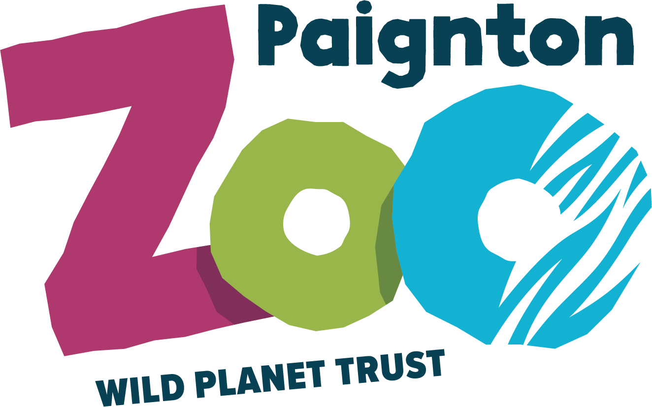 Paignton Zoo 1 