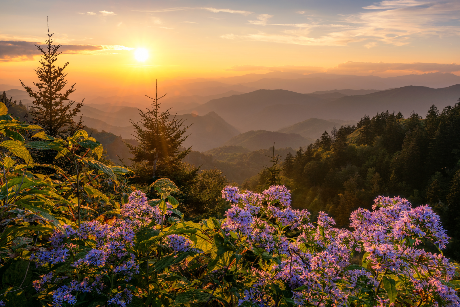 Dollywood Kicks Off 2026 Season What To Expect This Year Xlarge.webp