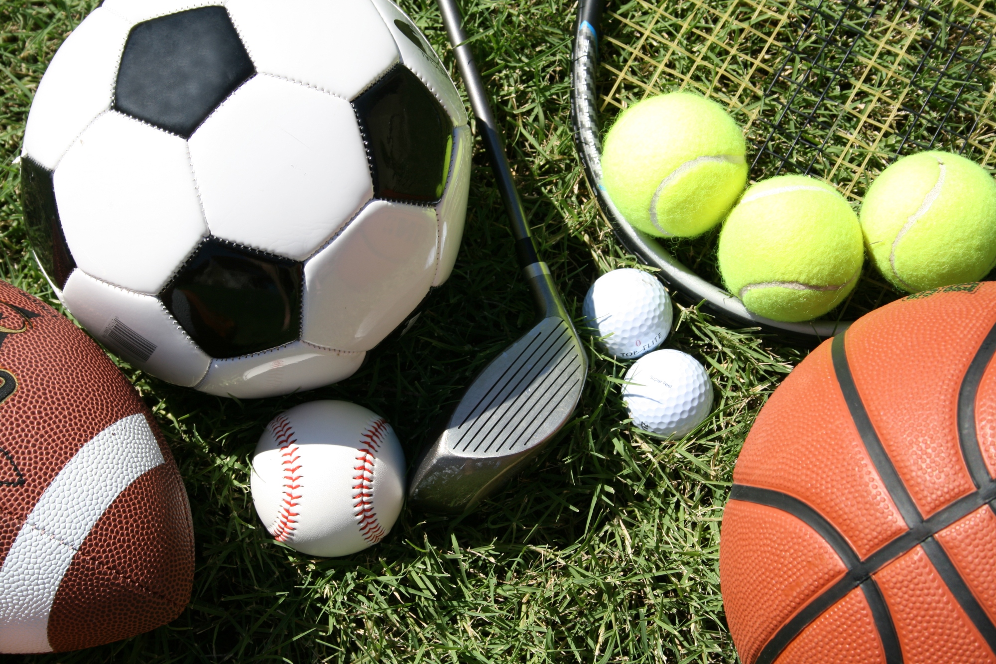 Guelph Sports Update: Air Quality Alerts Impact Local Youth Leagues (2026)