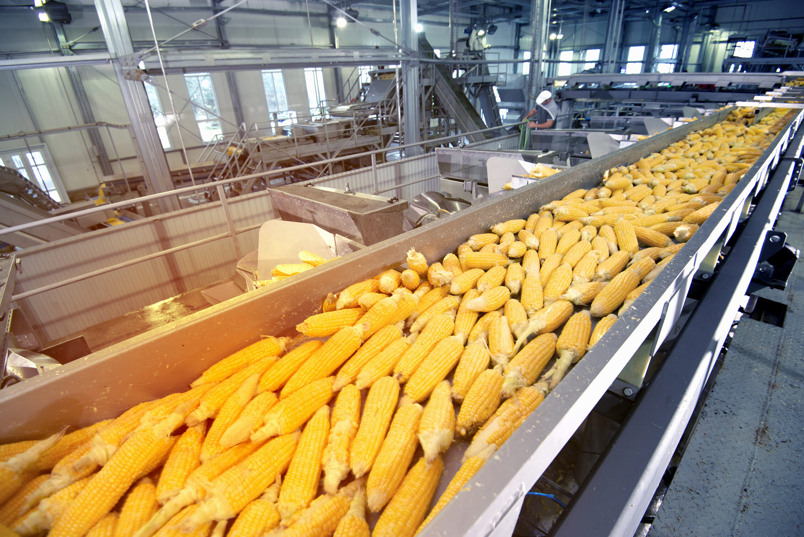 7 Safety Tips When Using Agricultural Grain Processing Equipment
