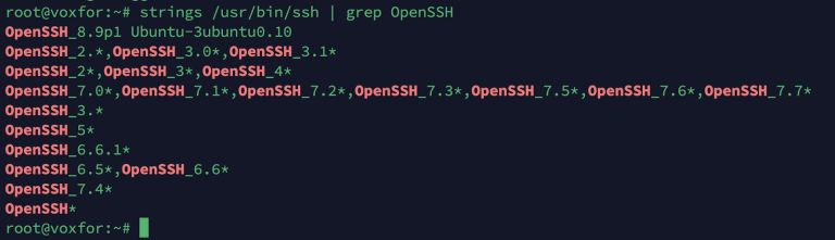 How To Check Ssh Version In Linux A Complete Guide - Modern City Image - Desktop