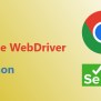 How To Install Chrome WebDriver In Selenium Python