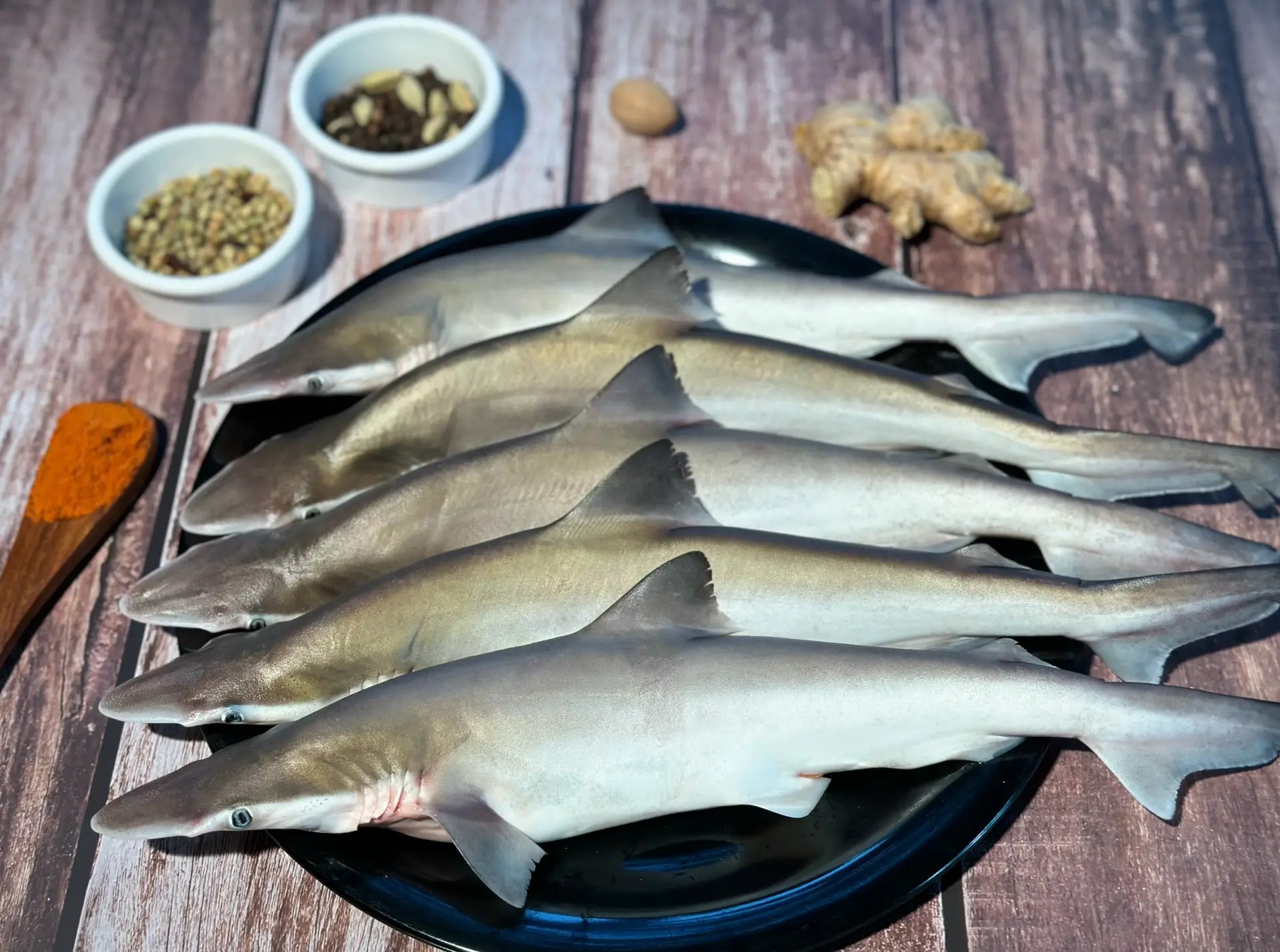 fish1