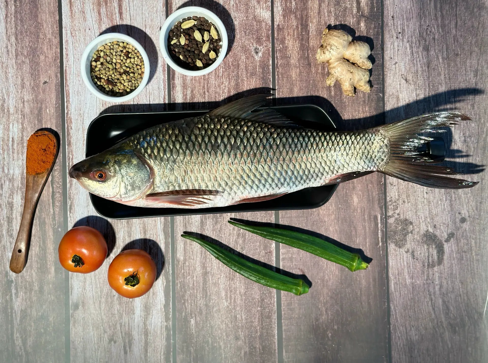 fish1