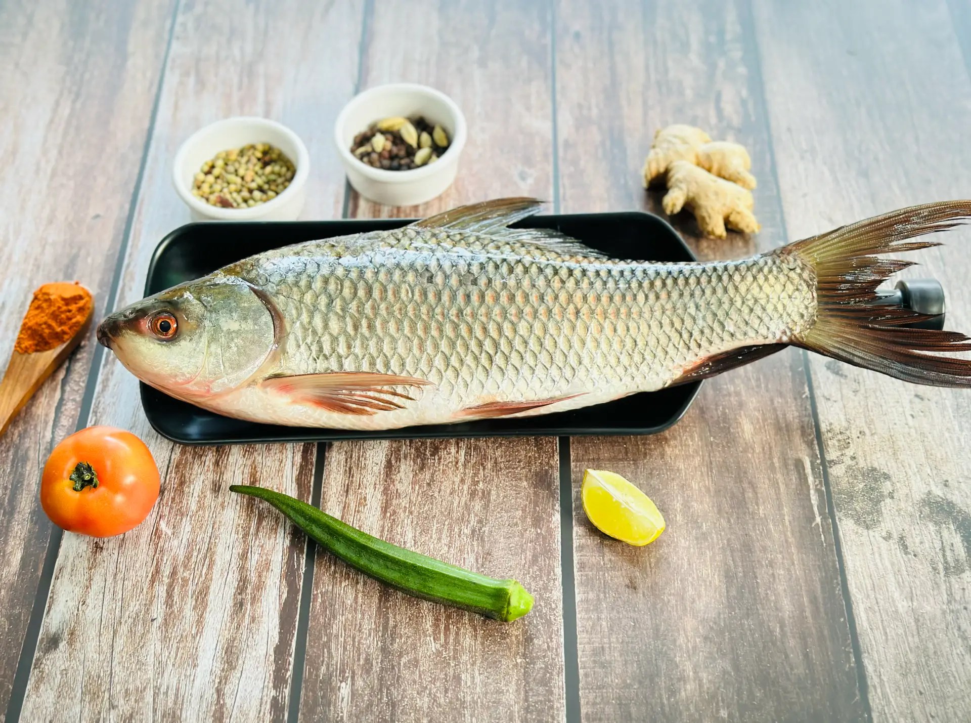 fish1