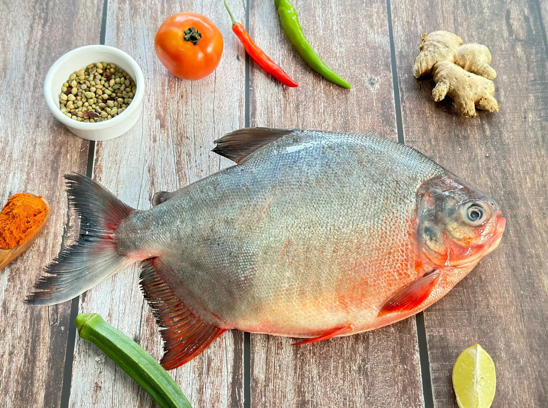 fish1