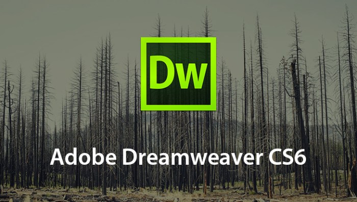 Dreamweaver cs6 adobe windows mac details features less show key bhphotovideo Dreamweaver cs6 adobe windows mac details features less show key bhphotovideo