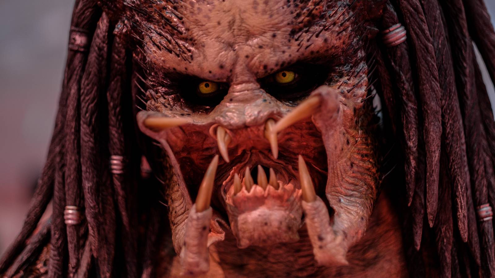 Predátor: Evoluce, FOTO: 20th Century Fox / distr. FTV Prima