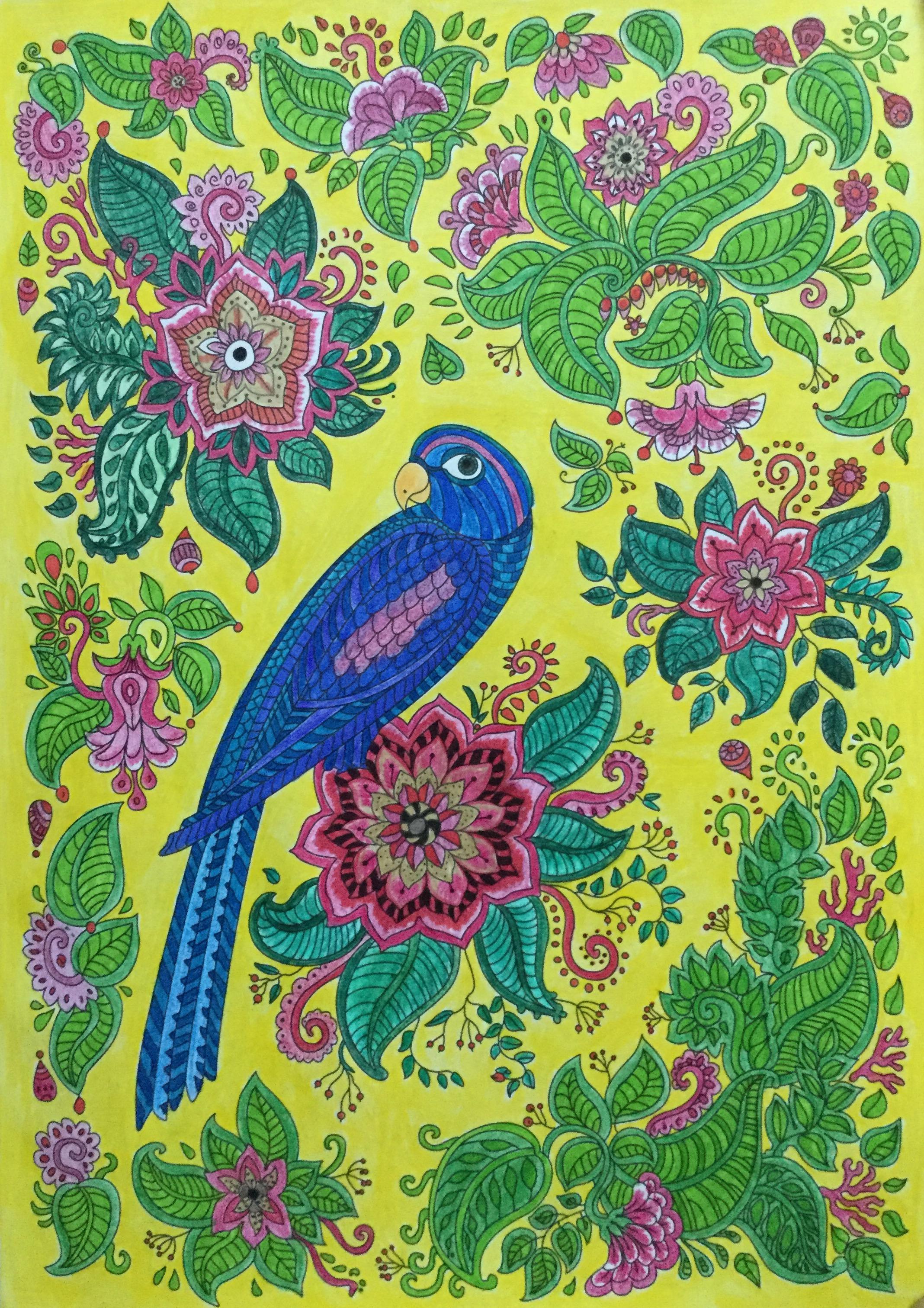 Papoušek Protistresové vymalovánky Vymalovanky.eu