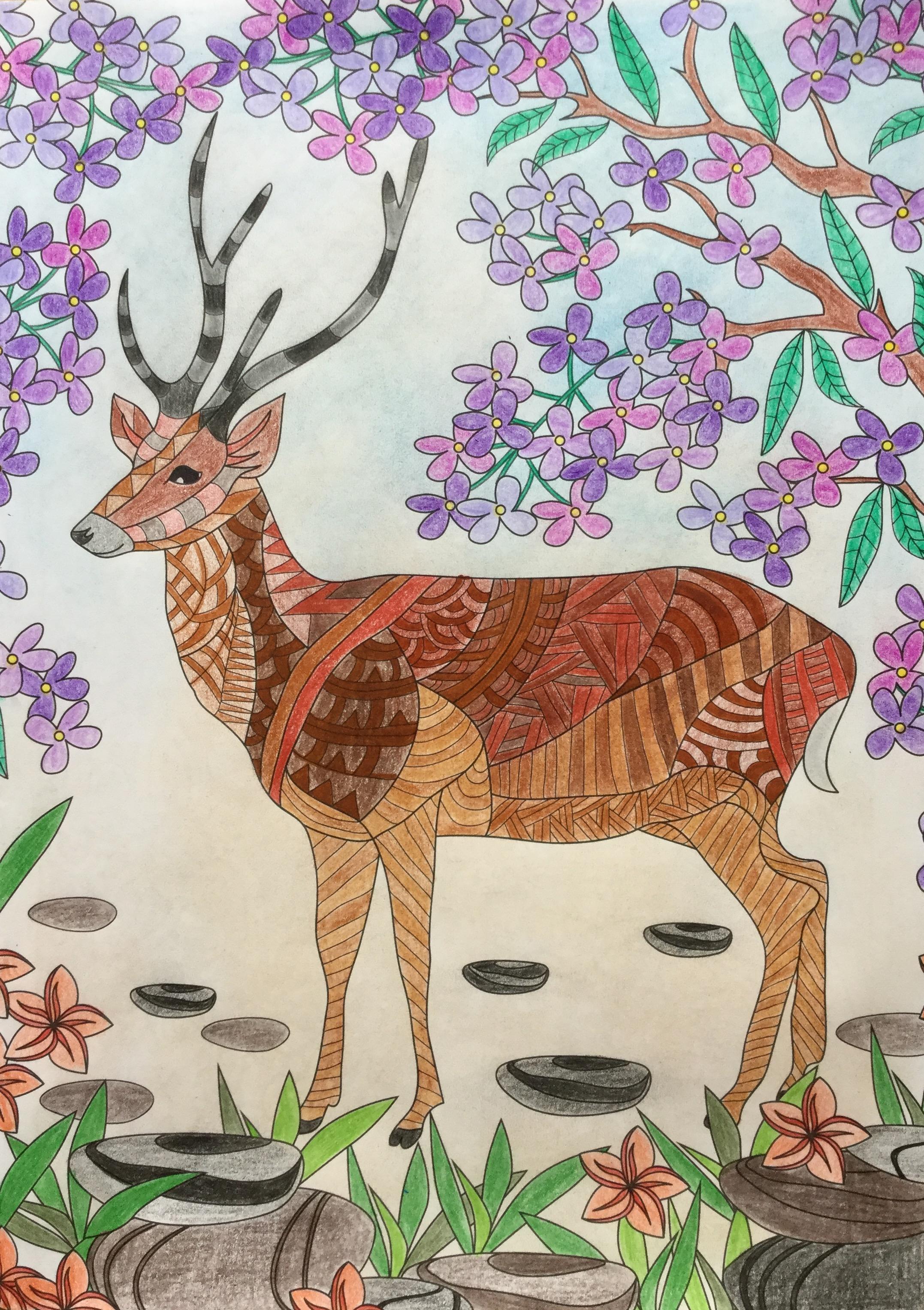 Jelen Protistresové vymalovánky Vymalovanky.eu