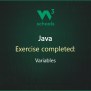 Completed Exercise: Java Variables