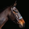Cameo Hunt Bridle With Two Browbands