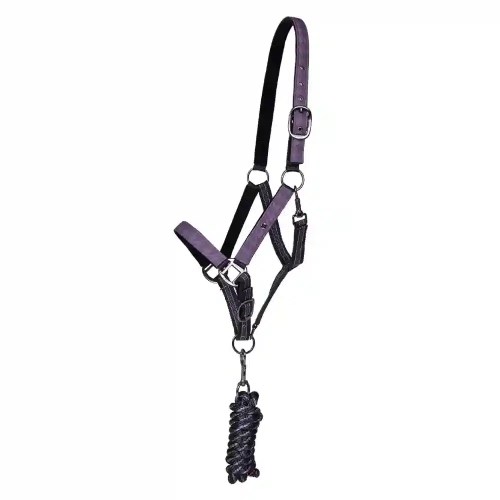 QHP Headcollar Set Turnout Collection Amethyst
