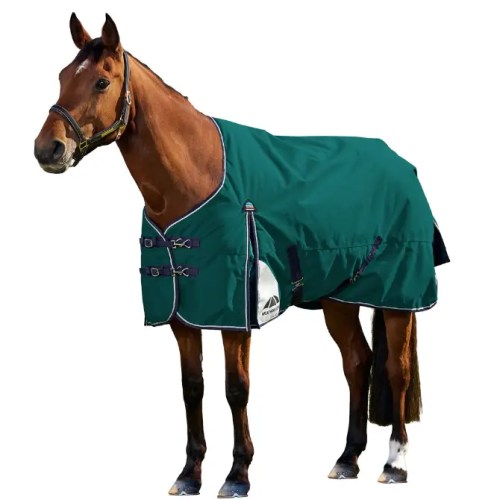 Weatherbeeta Comfitec+ Dynamic Turnout Detatch A Neck 100g Forest Green/Navy