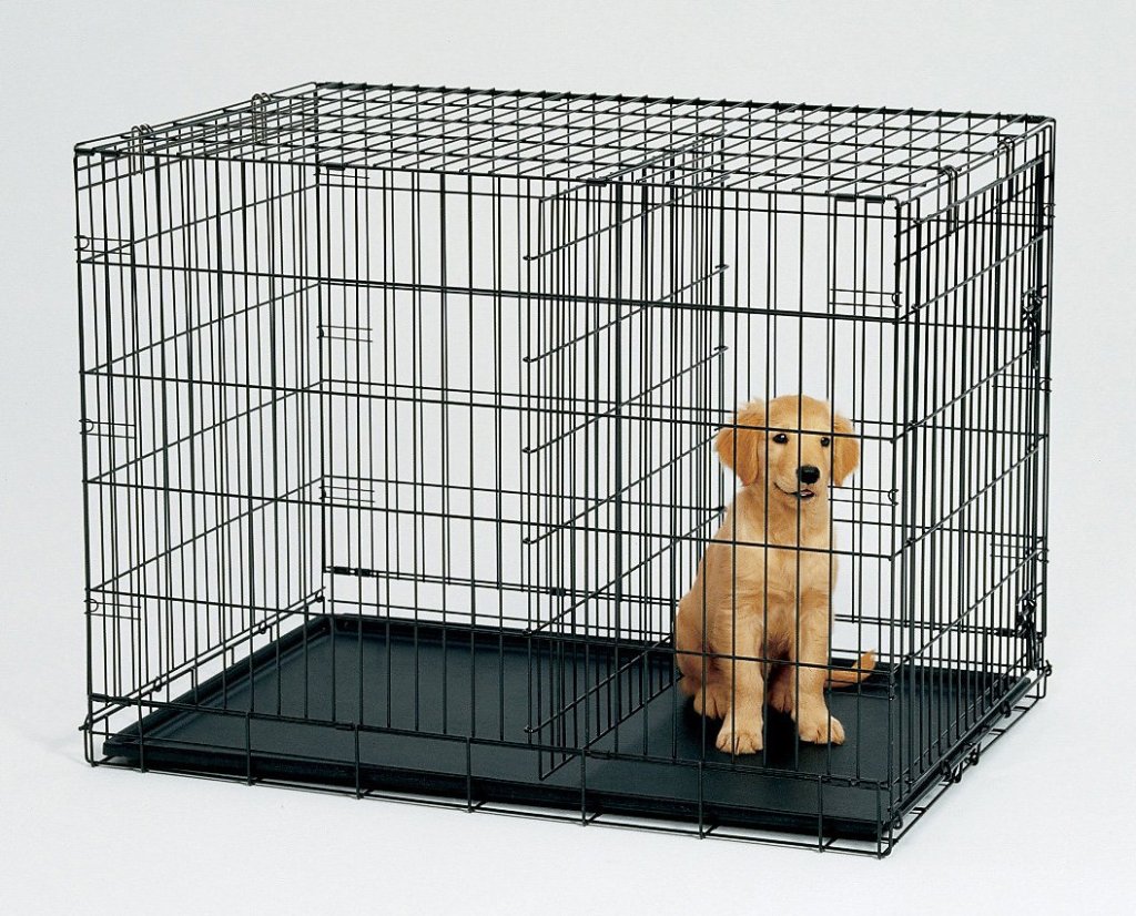 Crate Training a Puppy Everything You Need to Know for Success! Wag