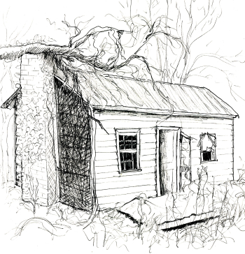 Collection Image: In Charlottetown Poor House