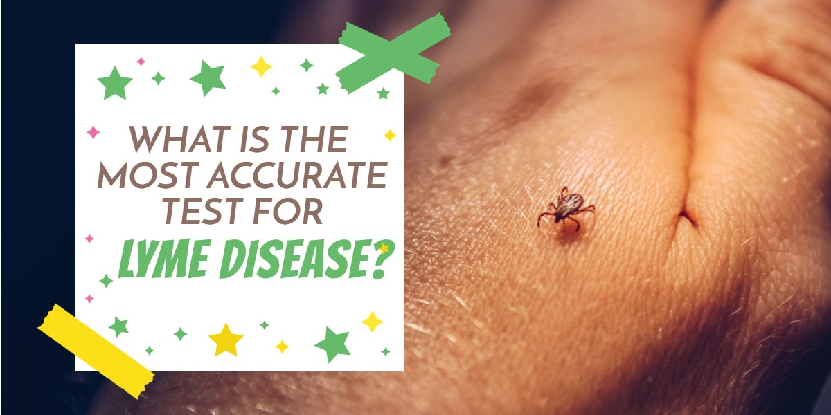 What is the most accurate test for lyme disease?