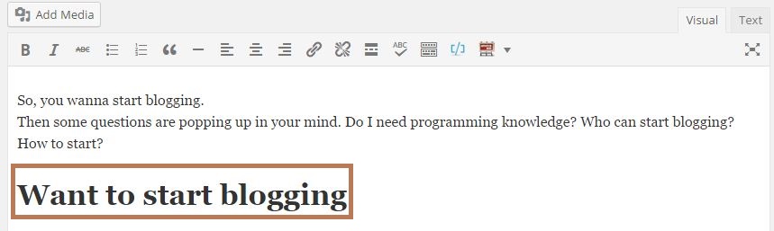 start a blog visual editor
