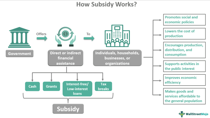 Subsidies | Intelligent Economist Subsidies | Intelligent Economist