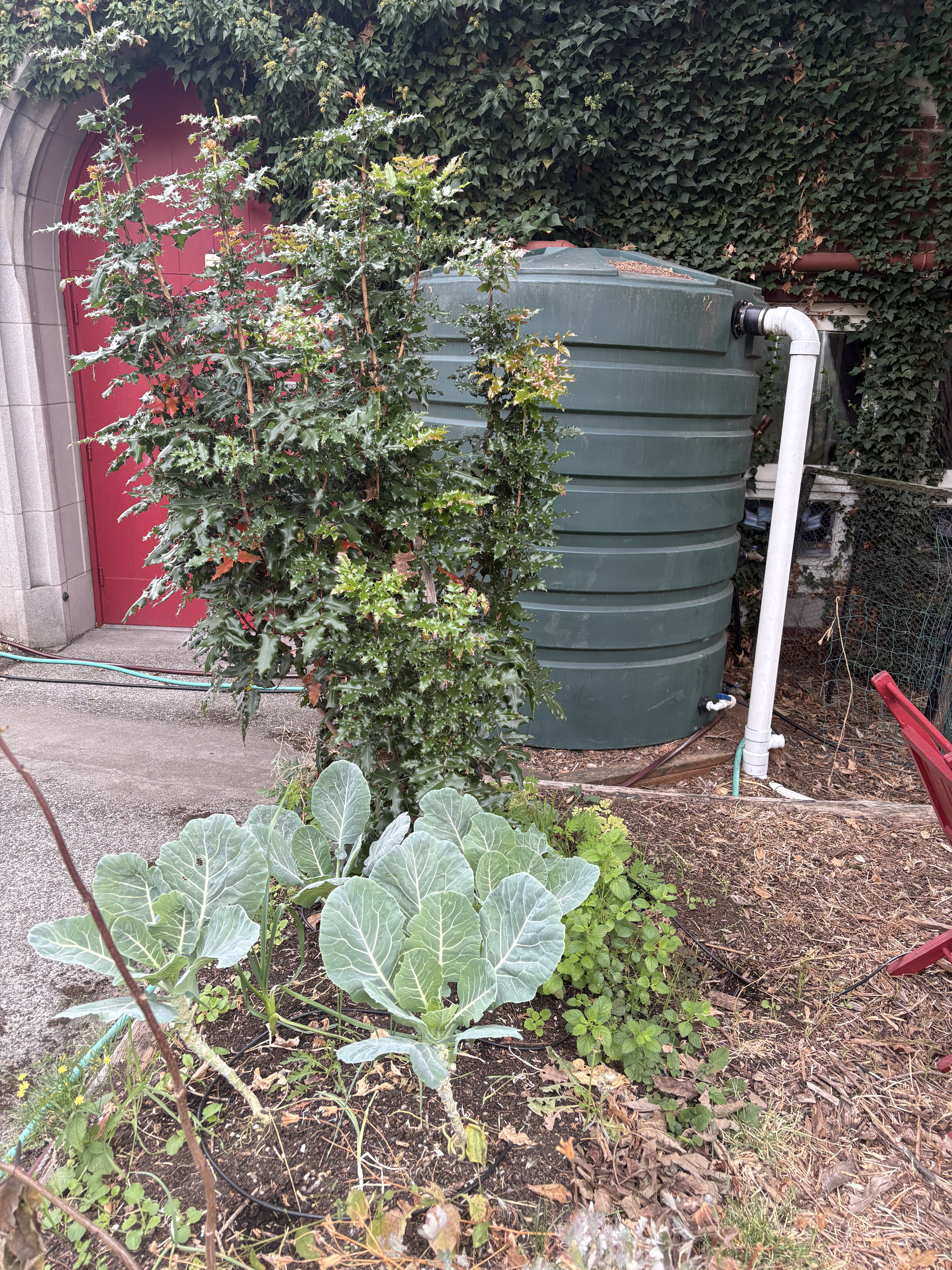 Water catchment system