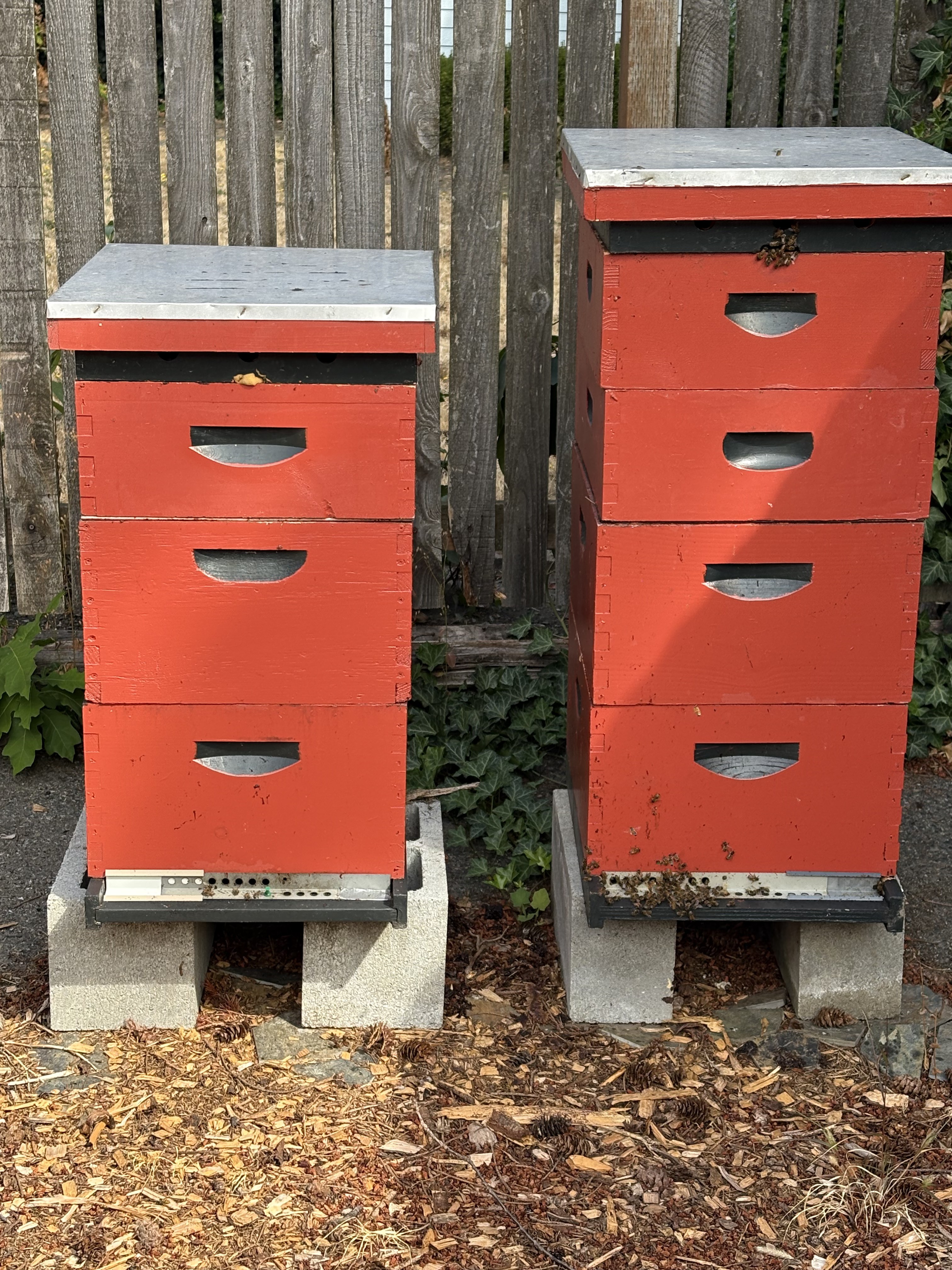 Beehives