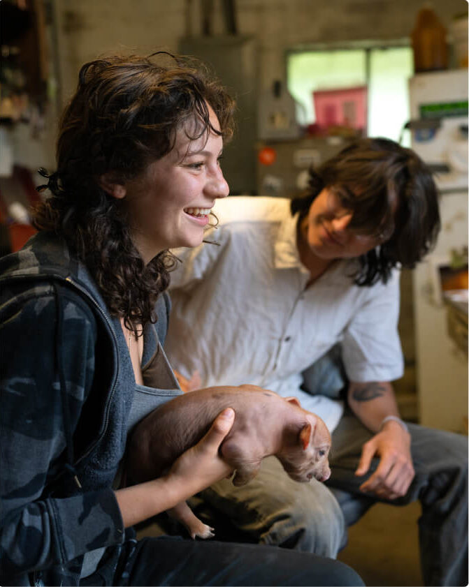 A student sits holding a small piglet. A second student sits looking at that piglet.