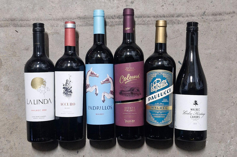 Malbec Drinker Pack